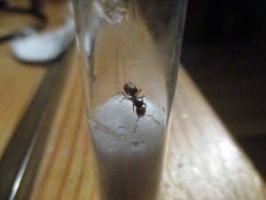 IMG_1062.JPG