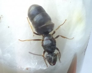 DSCF6926.JPG
