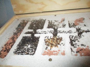 IMG_1072.JPG