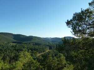 Ausblick Hirschberg.JPG