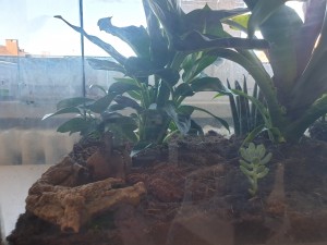 20200805_163415.jpg