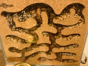 5CC80AC1-A736-4C27-ADFE-BD8203805281.jpeg (3.1 MiB) 14070 mal betrachtet Bild 87