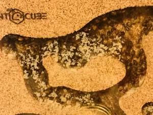 4BD75632-9D05-467B-B449-732FA692A618.jpeg (2.24 MiB) 14071 mal betrachtet Bild 88