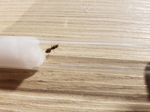 20200904_195608.jpg (3.74 MiB) 2348 mal betrachtet Unbekannt 2