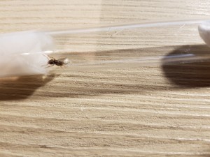 20200904_195803.jpg (4.12 MiB) 2458 mal betrachtet Unbekannt 1