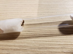 20200904_195809.jpg (4.13 MiB) 2348 mal betrachtet Unbekannt 1