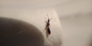 IMG20200905101937.jpg