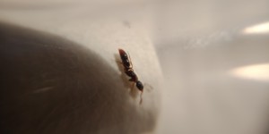 IMG20200905102432.jpg