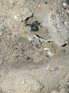 IMG_20200924_182633.jpg