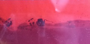 20201002_173139.jpg