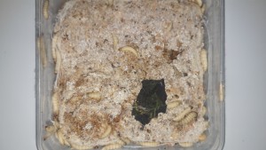20201215_135128.jpg