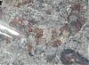 IMG_0626Groß_1_1.jpg (105.51 KiB) 6536 mal betrachtet IMG_0626Groß_1_1.jpg