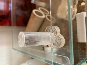 777F1388-A928-4341-8C8A-BFE742CF7BF2.jpeg (2.23 MiB) 9956 mal betrachtet Bild 372 (Klick aufs Bild, dann dreht es um -90Grad)