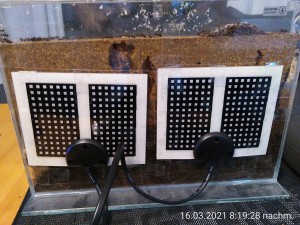 IMG_20210316_201928.jpg (2.85 MiB) 12597 mal betrachtet Das Camp Nico wird nach fast 18 Monaten wieder beheizt.