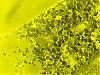 Honigschlecker gelb-Invertiert.jpg