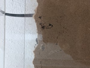 PXL_20210509_074331423.jpg (1.81 MiB) 4813 mal betrachtet Gyne oben auf der Farm