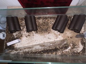 32D66B79-ECA1-42E9-A50A-E9A0E20B9439.jpeg (3.96 MiB) 2588 mal betrachtet Bild 450