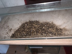 8E242C8A-5DB5-487D-AD00-F3CF0FC7B32E.jpeg (3.35 MiB) 2588 mal betrachtet Bild 453