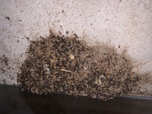 85BD43E0-0ADB-4C01-974D-9E197639ABCB.jpeg (4.9 MiB) 2588 mal betrachtet Bild 454