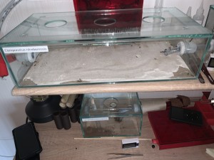 1A3F18BA-1644-43A3-8596-C45809C45320.jpeg (2.75 MiB) 2597 mal betrachtet Bild 456