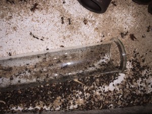 477462A9-3F55-4303-9411-1B2F6D9FC606.jpeg (5.11 MiB) 2588 mal betrachtet Bild 451