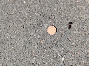 IMG_20210614_111212.jpg