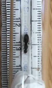 A799898E-FD3F-4146-A9EC-873262EBDE50.jpeg (37.95 KiB) 998 mal betrachtet A799898E-FD3F-4146-A9EC-873262EBDE50.jpeg