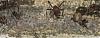 CRW_0146-01_rs.jpg