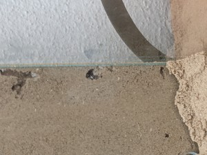 PXL_20210616_164631589.jpg (1.82 MiB) 2430 mal betrachtet In der Kammer der Gyne