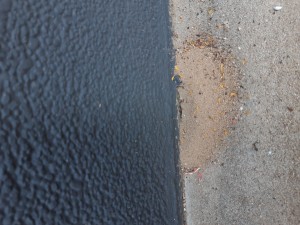 20210619_075149.jpg
