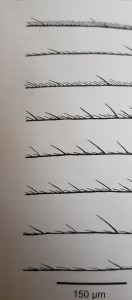 20210403_191215.jpg