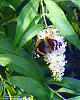Schmetterling-1-ColorCode-3D-(640)+C.jpg