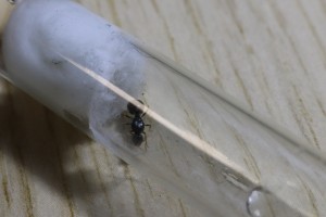 IMG_5398.JPG