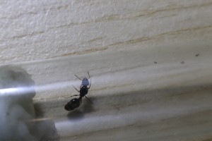 IMG_5396.JPG