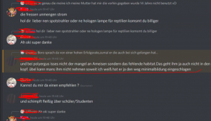 discord erfahrung.PNG