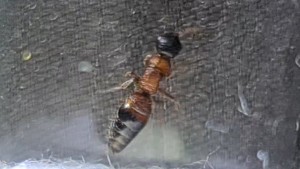 VideoCapture_20210907-092303.jpg (87.33 KiB) 1491 mal betrachtet VideoCapture_20210907-092303.jpg