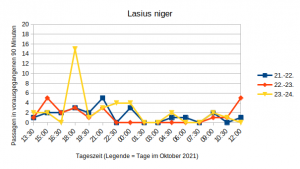 TagesgangLasius.png