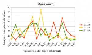 TagesgangMyrmica.png