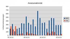 Ameisenaktivitaet.png