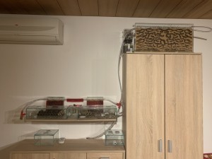 E9C0BCBC-B87A-4474-A5DE-579FB990F174.jpeg (1.81 MiB) 1811 mal betrachtet Bild 612