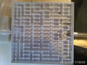 IMG_20211028_175303.jpg (2.72 MiB) 1112 mal betrachtet Aufnahme von Donnerstag