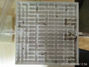 IMG_20211101_141254.jpg (2.84 MiB) 1160 mal betrachtet gerade "live" aufgenommen