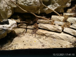 IMG_20211213_174115.jpg (3.95 MiB) 1951 mal betrachtet Gestern war's noch sauber...