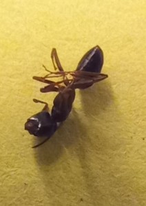 20220110_221324.jpg (46.72 KiB) 1744 mal betrachtet 20220110_221324.jpg