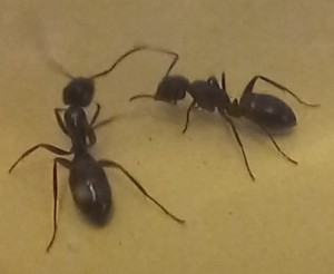 20220110_220756.jpg (42.36 KiB) 1744 mal betrachtet 20220110_220756.jpg