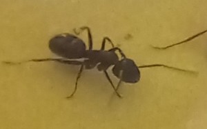 20220110_220657.jpg (19.9 KiB) 1877 mal betrachtet 20220110_220657.jpg