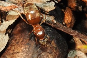 DSCN0474.JPG