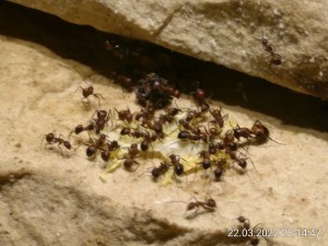 nach 2,5 Stunden: unscharf