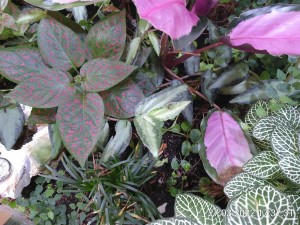 IMG_20220327_173731.jpg