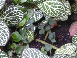 IMG_20220327_173712.jpg